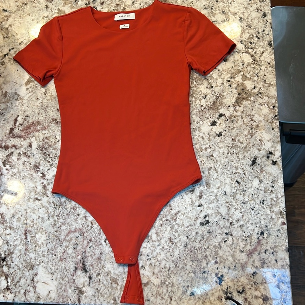 Aritzia Babaton Terracotta contour t-shirt bodysuit